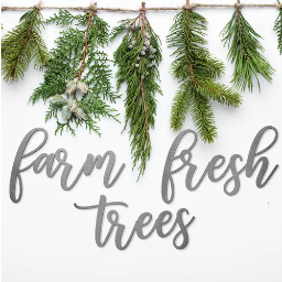 Farmhouse Christmas Wall Phrases